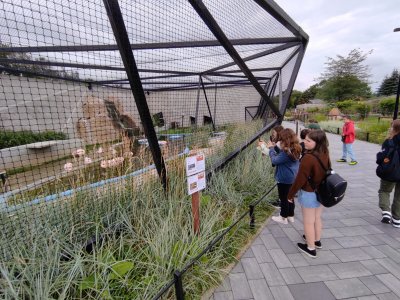 Wakacyjna AktywAKCJA z Domem Kultury